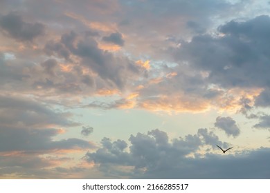 Beautiful fluffy clouds painted in bright painterly colors at sunrise. Multicolor background or wallpaper