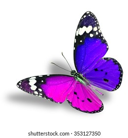 Beautiful Flying Pink Blue Butterfly Plain Stock Photo 353127350 ...