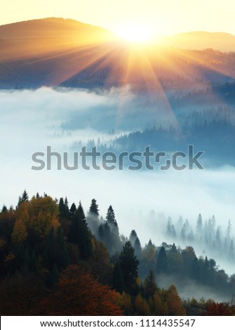 beautiful foggy autumn sunrise in mountains, picturesque scenic scenery, mist on valley in first rays sun, Europe scene, Ukraine, wallpaper vertical landscape background