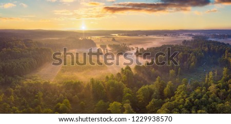 Similar – Vernebelte Herbstfärbung