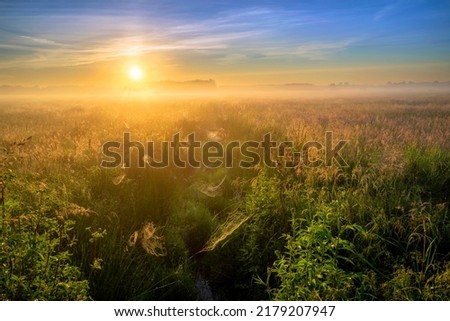 Similar – Image, Stock Photo Foggy river in the morning. Summer misty sunrise