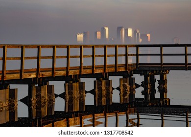 Beautiful Foggy Tampa Morning With Dock Architecture And Sunrise