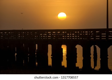 Beautiful Foggy Tampa Morning With Dock Architecture And Sunrise