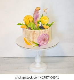 Parrot Cake Images Photos Et Images Vectorielles De Stock Shutterstock Parrot Cake Images Photos Et Images Vectorielles De Stock Shutterstock