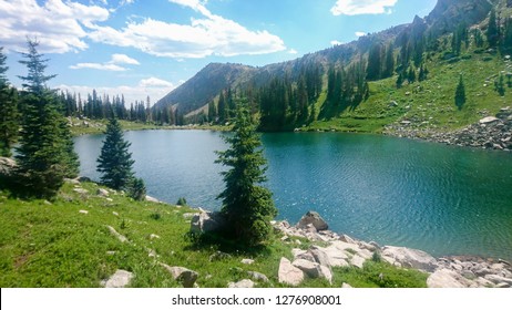 beautiful forest of Colorado USA - Shutterstock ID 1276908001