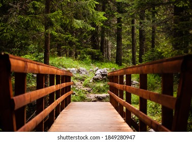 Beautiful Forest Of Durmitor National Park