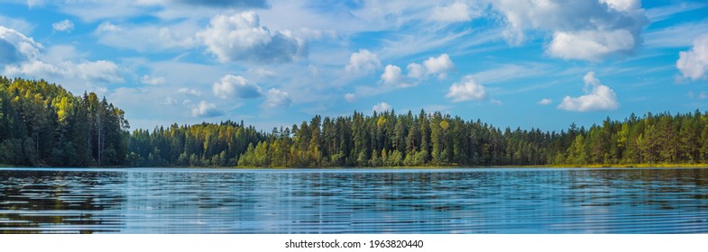 Beautiful Forest Lake In Russia. Panoramic View Of Beautiful Lake Landscape In Pskov Region, Russia.