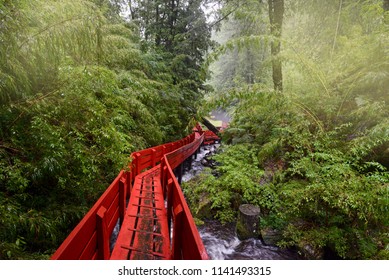 Pucon の画像 写真素材 ベクター画像 Shutterstock Pucon の画像 写真素材 ベクター画像 Shutterstock