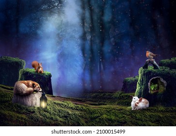 Beautiful forest at night with cute wild animals. Fantasy fairy tale feel. Fantasy misty landscape with a soft feeling with light magical effects. Perfect for a backdrop, background  - Shutterstock ID 2100015499