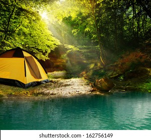 Beautiful forest at noon against the bright sunlight - Powered by Shutterstock