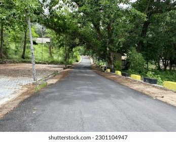 beautiful forest path surrounded by lush trees