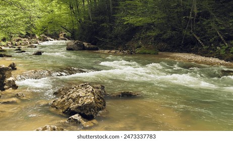 A beautiful forested river with rushing rapids and lush greenery. A mountain river with clear greenish water flowing through rocky terrain - Powered by Shutterstock