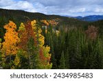 A beautiful forested valley with early fall foliage from the hike to Bear Lake, Rocky Mountain National Park, Estes Park, Colorado, USA.