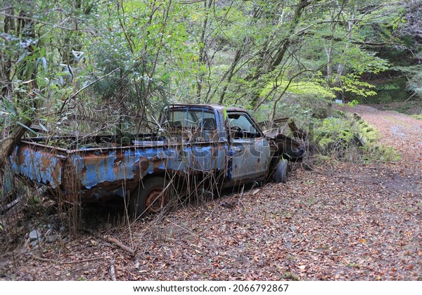 Beautiful forests and\
scrapped cars in Japan\
