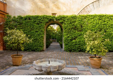 Beautiful Formal Public Garden Inside Alcazar Seville Palace In Summertime In Andalusia