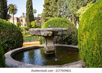 Beautiful Formal Public Garden Inside Alcazar Seville Palace In Summertime In Andalusia