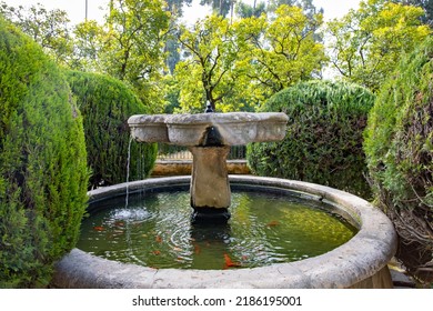 Beautiful Formal Public Garden Inside Alcazar Seville Palace In Summertime In Andalusia