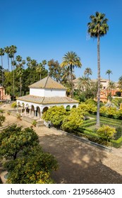 Beautiful Formal Public Garden Inside Alcazar Seville Palace In Summertime In Andalusia