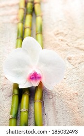 Beautiful Fragile White Orchid And Bamboo On Beach Sand Conceptual Of Wellness, Alternative Medicine And Spa Treatments