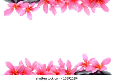Beautiful Frangipani flowers - border design