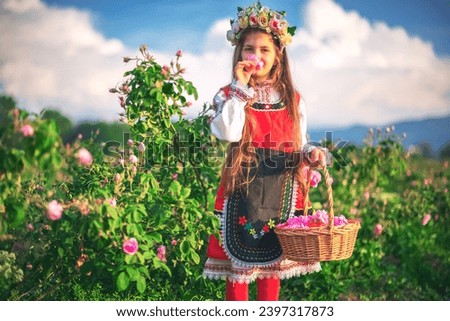 beautiful freedom girl bulgarian woman picking oil-bearing Rose Damascena in field at sunrise Bulgaria