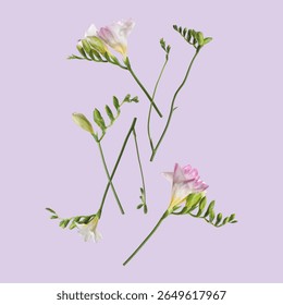 Hermosas flores freesia volando