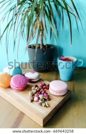 Beautiful french macarons and aroma cappuccino cup on table with plant in vase. Blue wall background. Commerce concept.