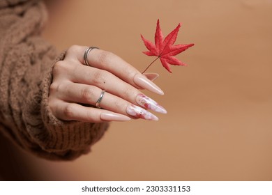beautiful french manicure with chrysanthemum on white