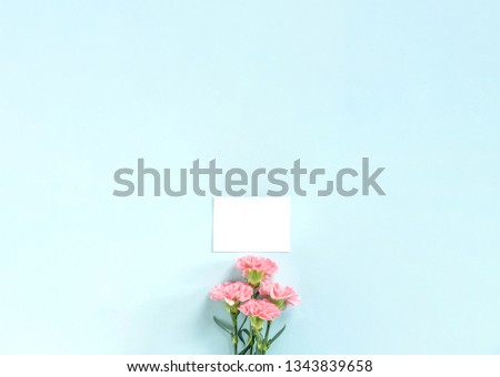 Similar – White Flowers Composing on light blue