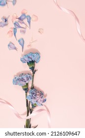 Beautiful fresh blooming blue carnation color tender carnations isolated on bright pink background, mothers day thanks design concept,top view,flat lay,copy space,close up,
				