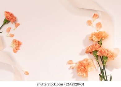 Beautiful fresh blooming orange carnation color tender carnations isolated against a white background.
