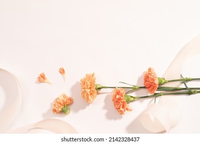 Beautiful fresh blooming orange carnation color tender carnations isolated against a white background.