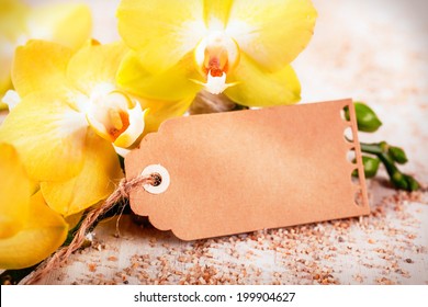 beautiful fresh bright yellow phalaenopsis orchids with a blank decorative brwon card or gift tag with copyspace for your message of love on Valentines Day or an anniversary