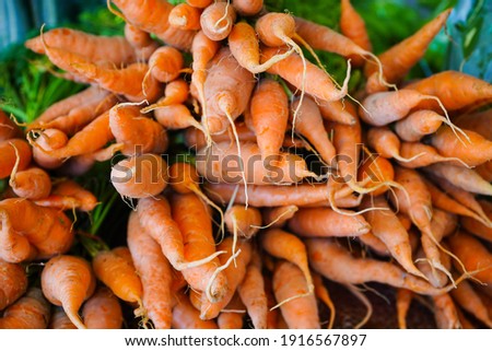 Beautiful fresh market, orange red organic carrots on stems at close range, big bunch, healthy eating and healthy vegetable photography.