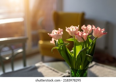 Beautiful fresh pink tulips bouquet in green glass vase on table in warm sunset sun lights against balcony window in cozy home interior. Blooming flowers decoration in living room provence style