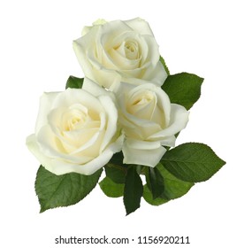 Beautiful Fresh Roses On White Background. Funeral Symbol