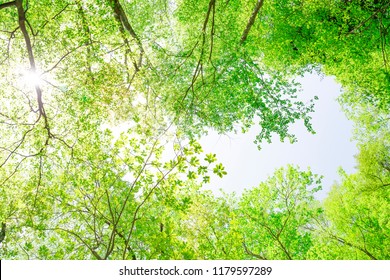 Verdure Images Stock Photos Vectors Shutterstock