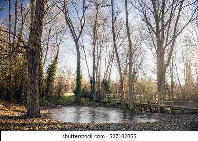 Beautiful Frozen Lake With Trees. Stunning British Winter Scene. Lido Park, Droitwich Spa, England, United Kingdom