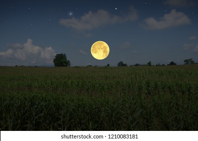 107 Moon Over Corn Field Images, Stock Photos & Vectors | Shutterstock