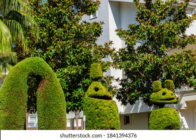 Beautiful Funny Bush Figures In A Garden