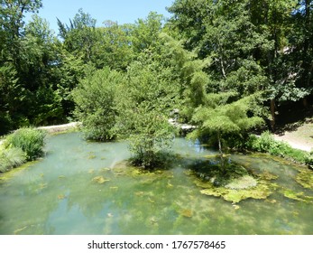 Beautiful Garden (clos Luce Castle, Amboise, France, Europe)