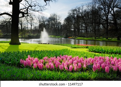 beautiful garden of colorful flowers in spring (keukenhof, The Netherlands)