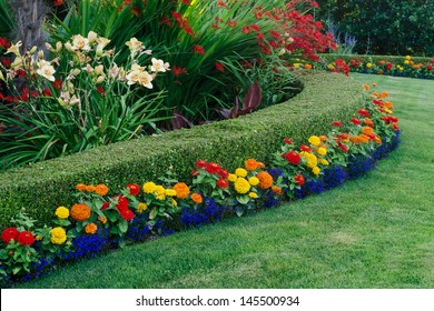 A beautiful garden display featuring a curved boxwood hedge surrounded by daylilies, crocosmia, and small colorful zinnias and lobellia.