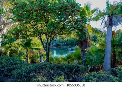 Beautiful Garden Of Eden With A Lake