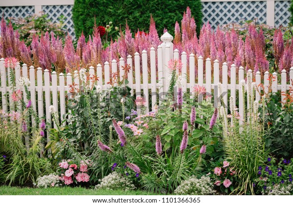 Beautiful Garden Fence / Beautiful White Fence Landscaping Ideas Garden Lovers Club - Welcome to our gallery of beautiful fence planters.