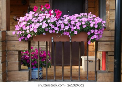 Beautiful garden with flower box and pot plants on the porch