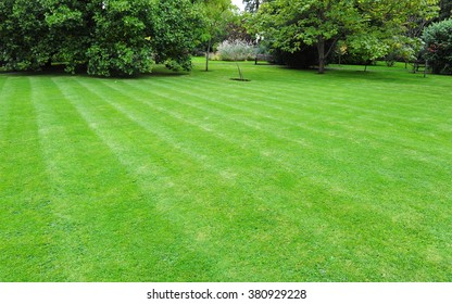 Beautiful Garden With A Fresh Mown Lawn