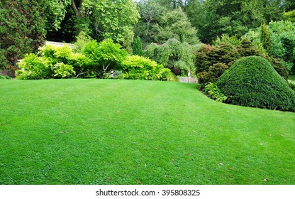 Beautiful Garden with a Freshly Mowed Lawn