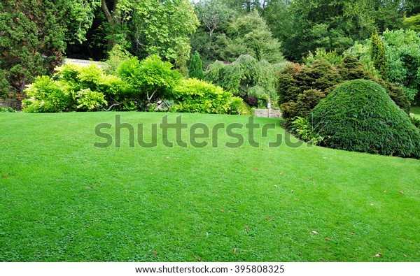 Beautiful Garden with a
Freshly Mowed Lawn
