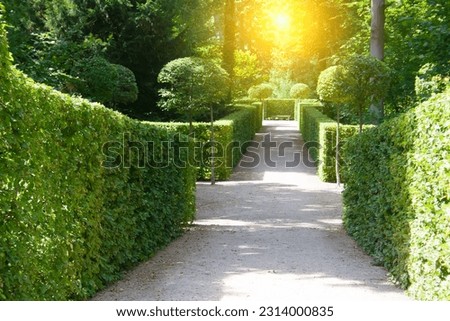 Beautiful garden with green hedges with trees and walking paths .